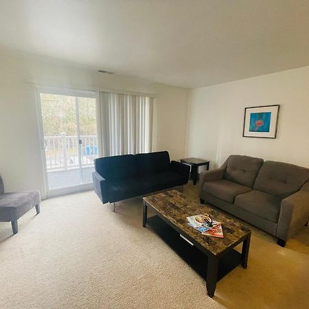 Large, Clean, Comfortable, 1Br Near Einstein Hos Elkins Park Ngoại thất bức ảnh